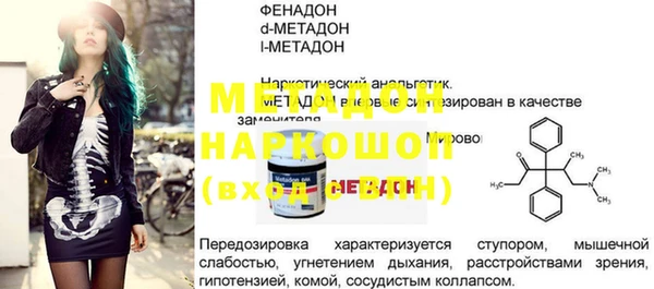индика Богородск