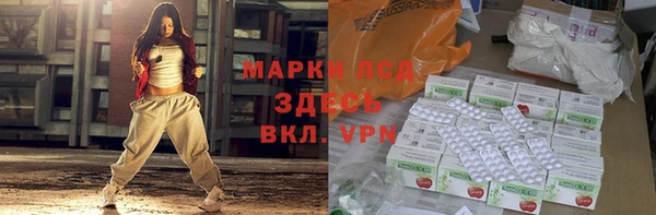 гидра Богородицк