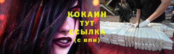 индика Богородск