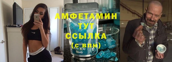 индика Богородск
