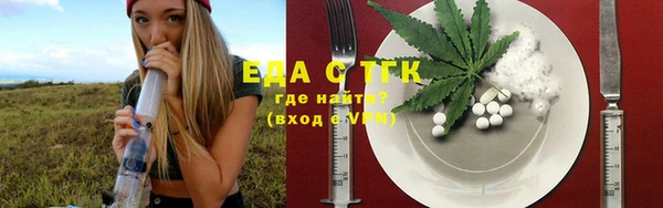 индика Богородск