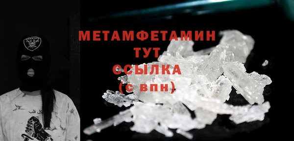 гидра Богородицк
