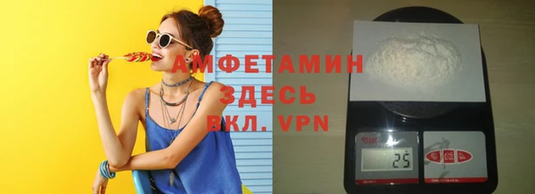 индика Богородск