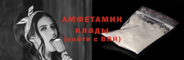 индика Богородск