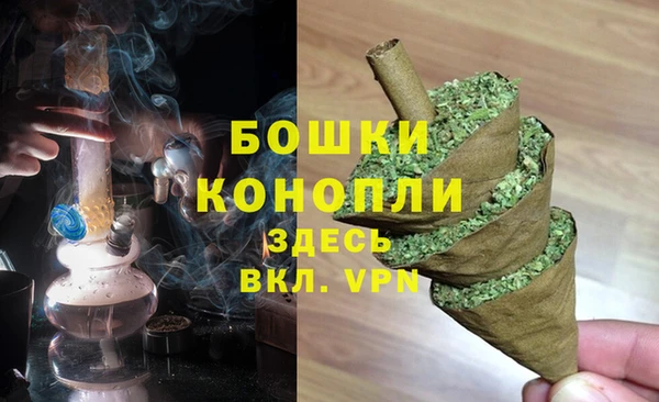 гидра Богородицк