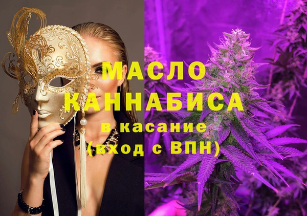 индика Богородск