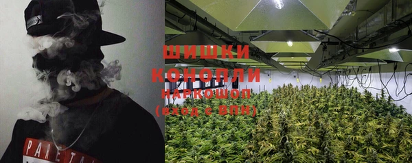 индика Богородск