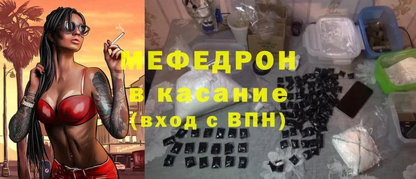 индика Богородск