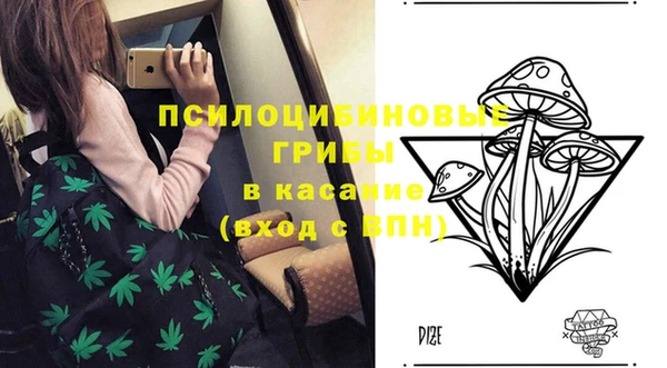 mdpv Богданович