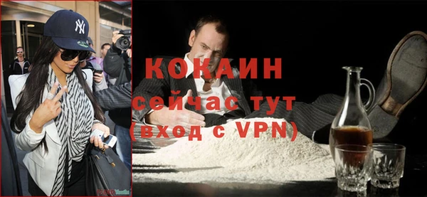 индика Богородск