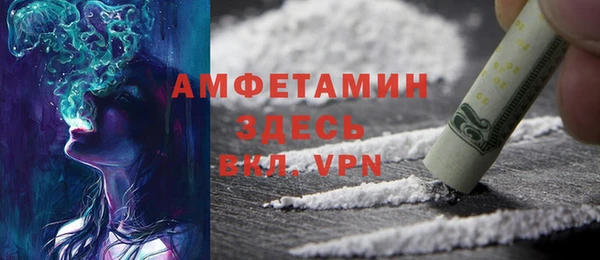 гидра Богородицк