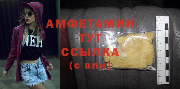 индика Богородск