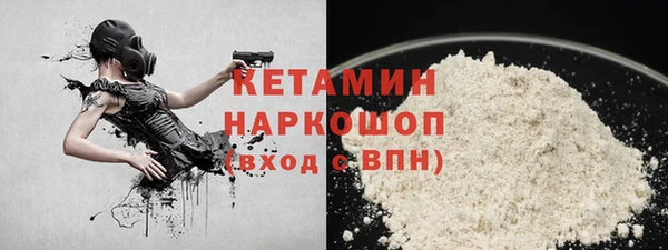 гидра Богородицк