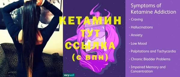 гидра Богородицк