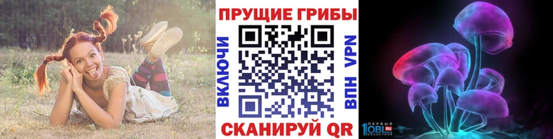 наркошоп  Реутов  Псилоцибиновые грибы мухоморы 